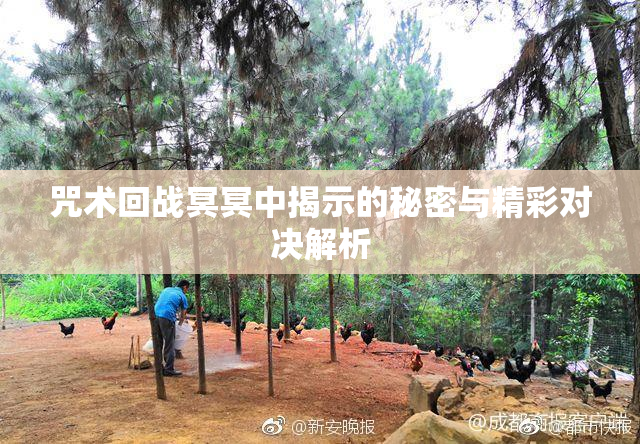咒术回战冥冥中揭示的秘密与精彩对决解析