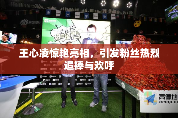 王心凌惊艳亮相，引发粉丝热烈追捧与欢呼