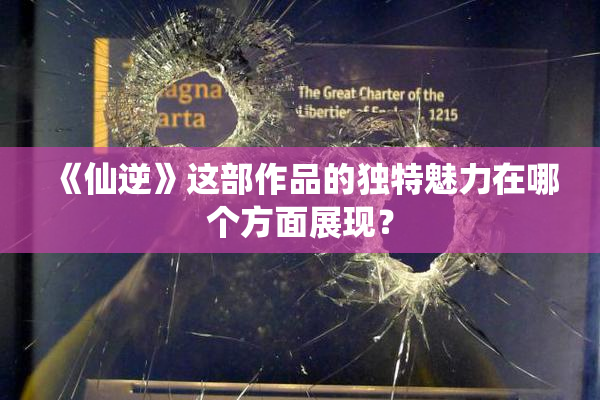《仙逆》这部作品的独特魅力在哪个方面展现？