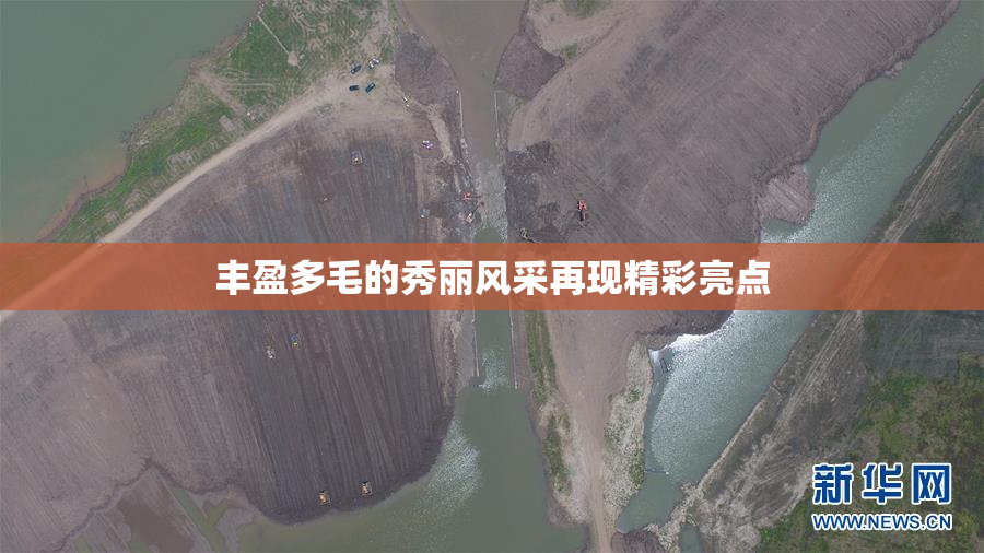 丰盈多毛的秀丽风采再现精彩亮点