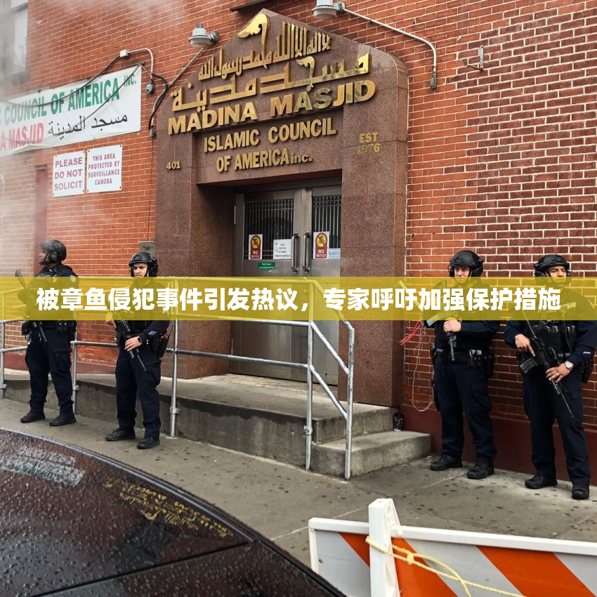被章鱼侵犯事件引发热议，专家呼吁加强保护措施