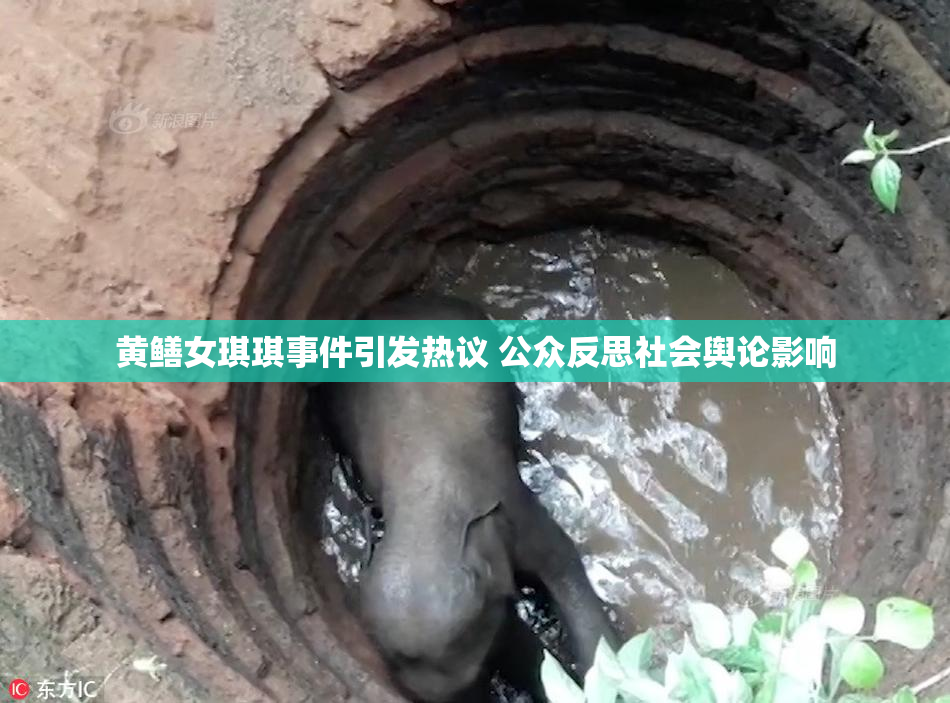 黄鳝女琪琪事件引发热议 公众反思社会舆论影响