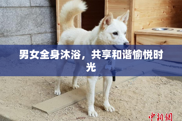 男女全身沐浴，共享和谐愉悦时光