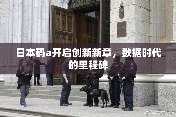 日本码a开启创新新章，数据时代的里程碑