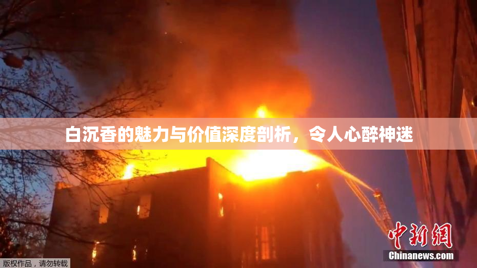 白沉香的魅力与价值深度剖析，令人心醉神迷
