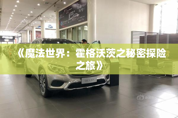 《魔法世界：霍格沃茨之秘密探险之旅》