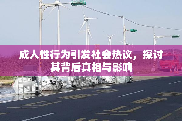 成人性行为引发社会热议，探讨其背后真相与影响