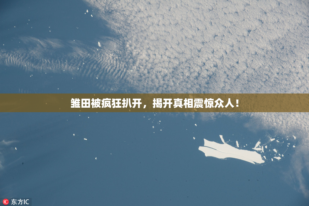 雏田被疯狂扒开，揭开真相震惊众人！