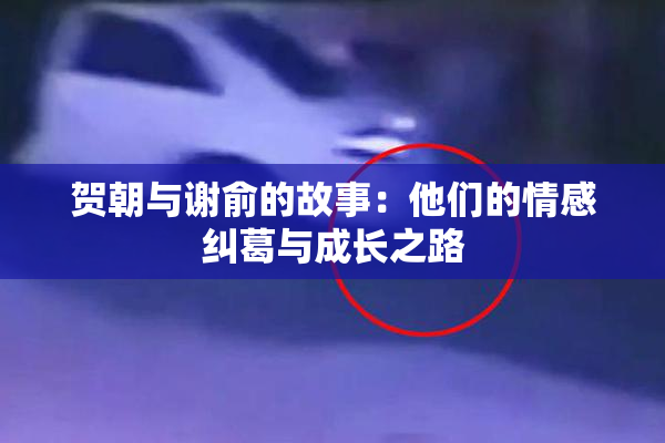 贺朝与谢俞的故事：他们的情感纠葛与成长之路