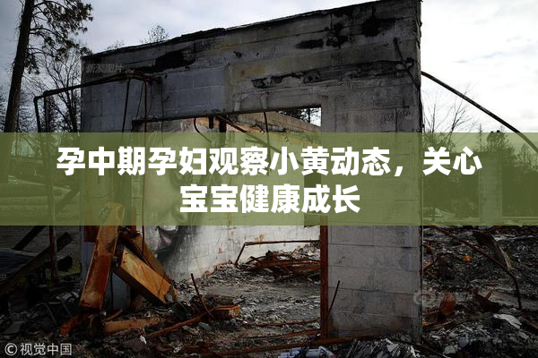 孕中期孕妇观察小黄动态，关心宝宝健康成长