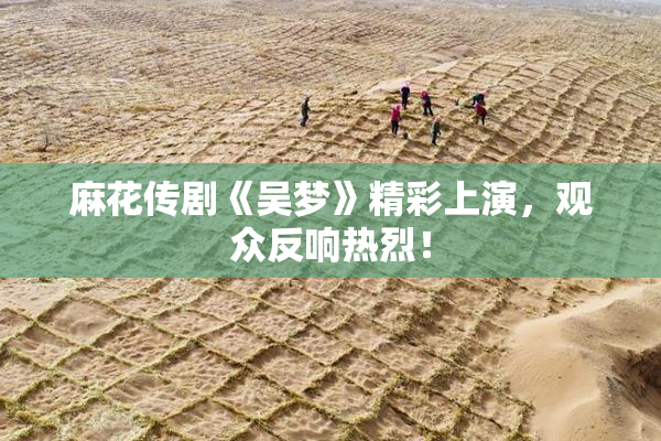麻花传剧《吴梦》精彩上演，观众反响热烈！