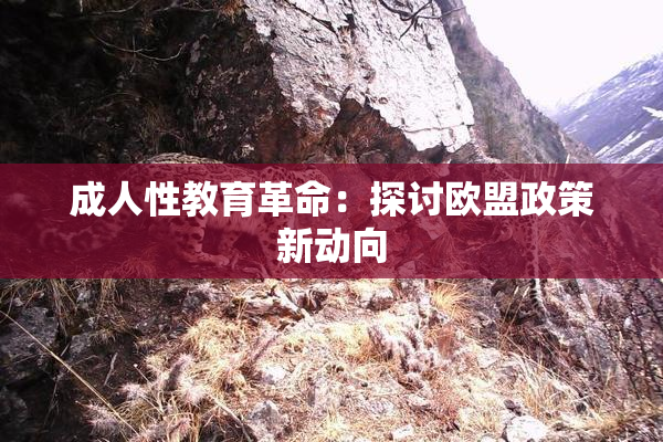 成人性教育革命：探讨欧盟政策新动向