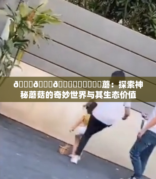 🍆🍑🔞❌‌❌‌❌‌蘑：探索神秘蘑菇的奇妙世界与其生态价值