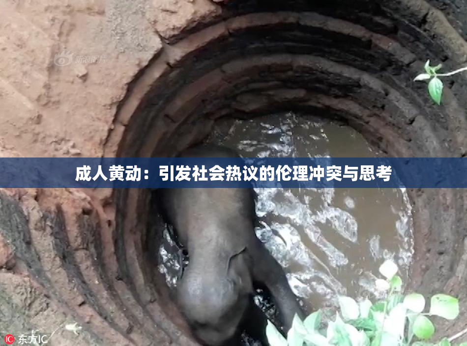 成人黄动：引发社会热议的伦理冲突与思考