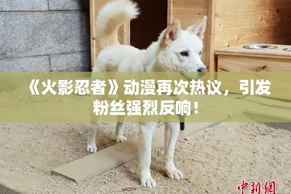 《火影忍者》动漫再次热议，引发粉丝强烈反响！