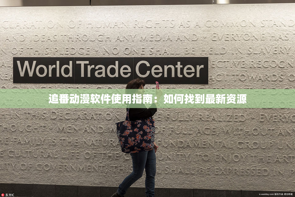 追番动漫软件使用指南：如何找到最新资源