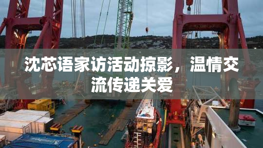 沈芯语家访活动掠影，温情交流传递关爱