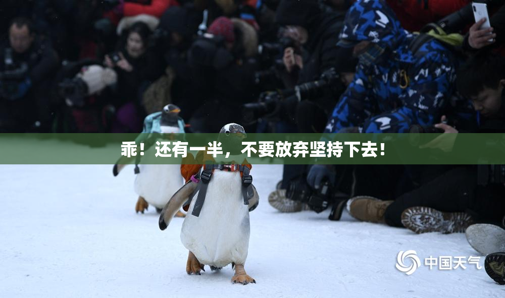 乖！还有一半，不要放弃坚持下去！