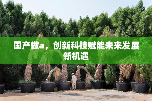 国产做a，创新科技赋能未来发展新机遇