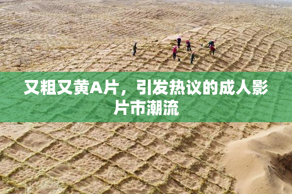 又粗又黄A片，引发热议的成人影片市潮流
