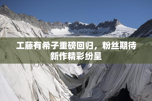 工藤有希子重磅回归，粉丝期待新作精彩纷呈