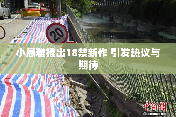 小恩雅推出18禁新作 引发热议与期待