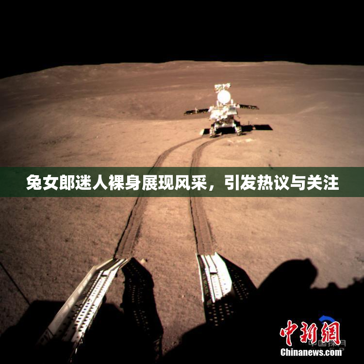 兔女郎迷人裸身展现风采，引发热议与关注
