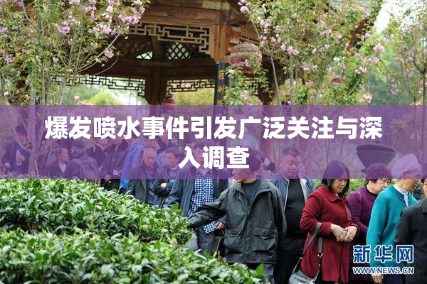 爆发喷水事件引发广泛关注与深入调查