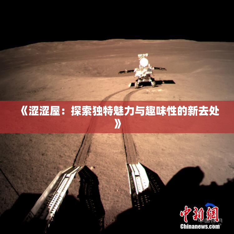 《涩涩屋：探索独特魅力与趣味性的新去处》