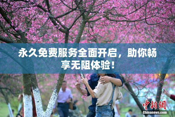 永久免费服务全面开启，助你畅享无阻体验！