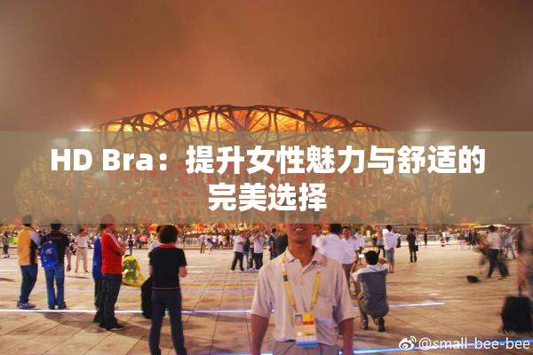 HD Bra：提升女性魅力与舒适的完美选择