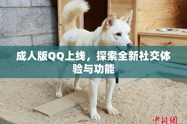 成人版QQ上线，探索全新社交体验与功能