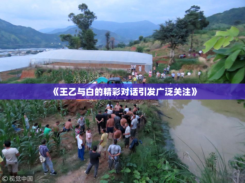 《王乙与白的精彩对话引发广泛关注》