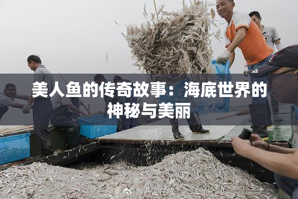 美人鱼的传奇故事：海底世界的神秘与美丽