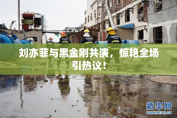 刘亦菲与黑金刚共演，惊艳全场引热议！