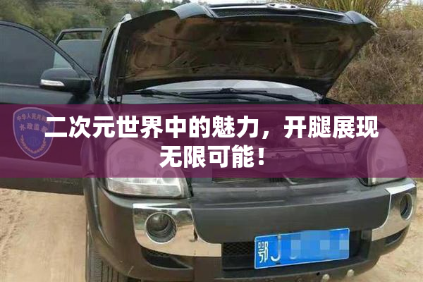 二次元世界中的魅力，开腿展现无限可能！