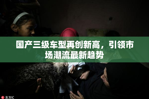 国产三级车型再创新高，引领市场潮流最新趋势