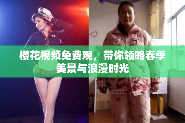樱花视频免费观，带你领略春季美景与浪漫时光