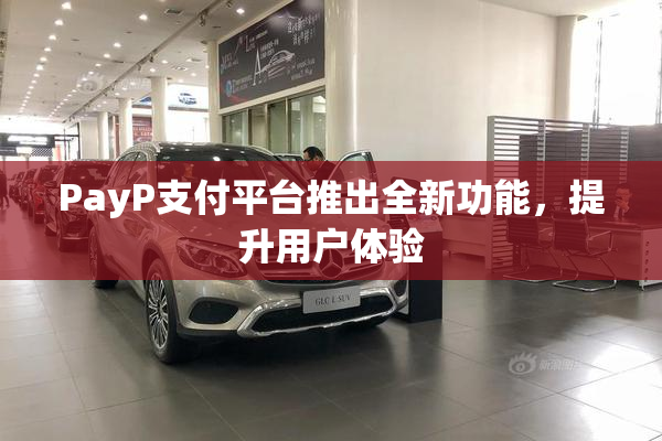 PayP支付平台推出全新功能，提升用户体验