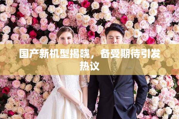 国产新机型揭晓，备受期待引发热议