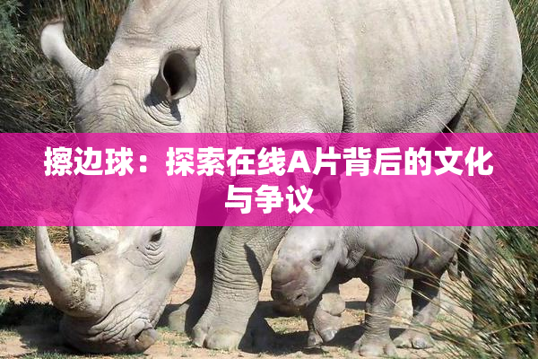 擦边球：探索在线A片背后的文化与争议