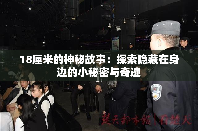 18厘米的神秘故事：探索隐藏在身边的小秘密与奇迹