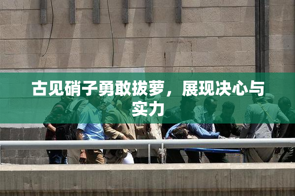 古见硝子勇敢拔萝，展现决心与实力