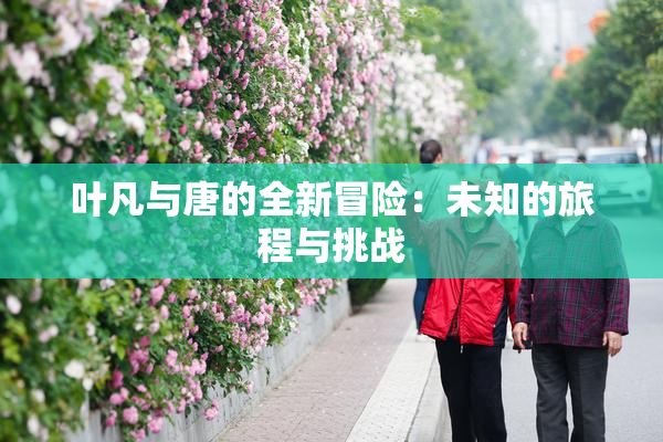 叶凡与唐的全新冒险：未知的旅程与挑战