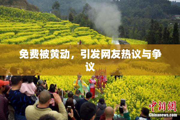 免费被黄动，引发网友热议与争议