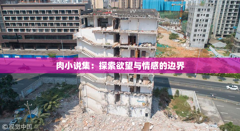 肉小说集：探索欲望与情感的边界