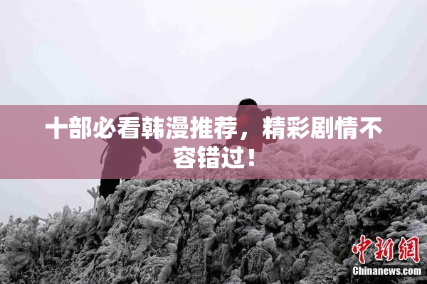 十部必看韩漫推荐，精彩剧情不容错过！