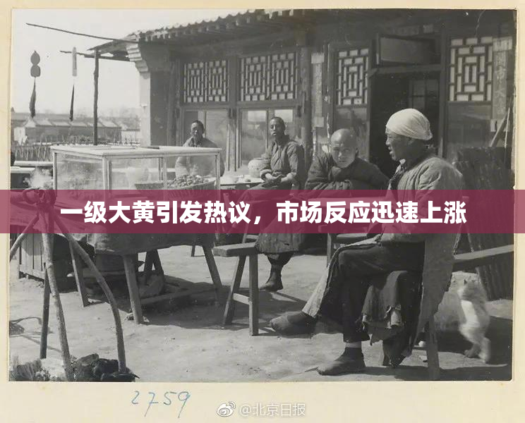 一级大黄引发热议，市场反应迅速上涨