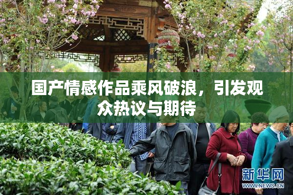 国产情感作品乘风破浪，引发观众热议与期待