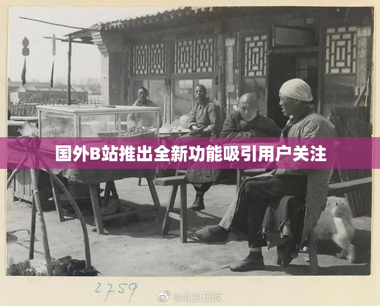 国外B站推出全新功能吸引用户关注
